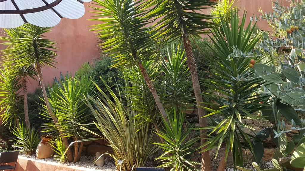 La Maison Du Castellet Ле-Кастелле Екстер'єр фото